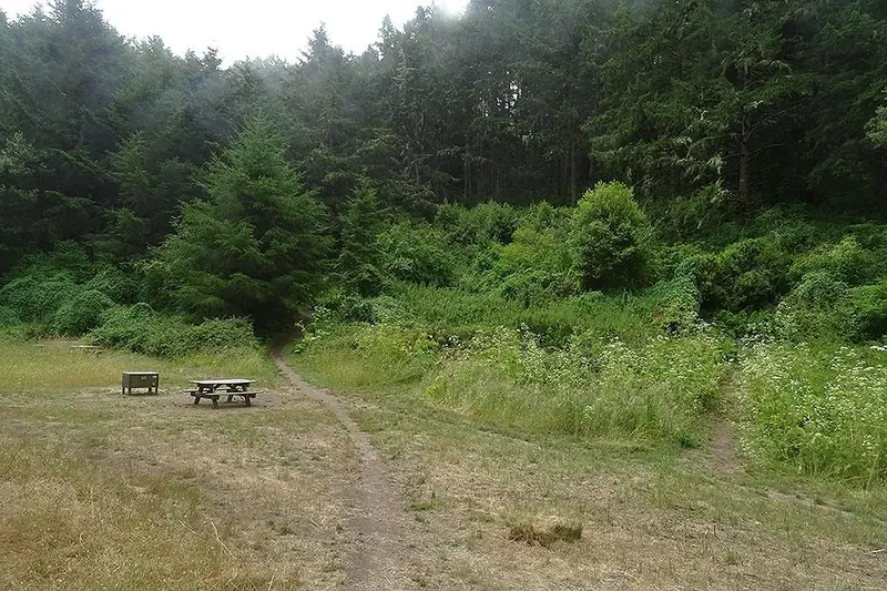 Glen Campground — Point Reyes National Seashore
