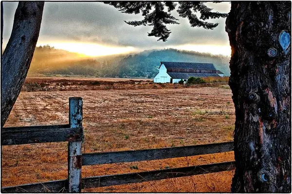 Historic barn wetlands
