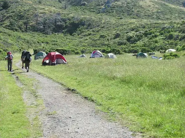 Coast Campground at Point Reyes