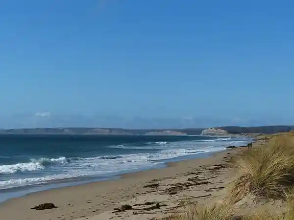 Alamere Falls tidefall at Point Reyes